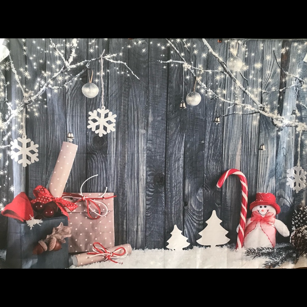 Christmas back drop for photography